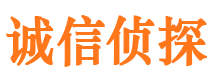 临漳市出轨取证